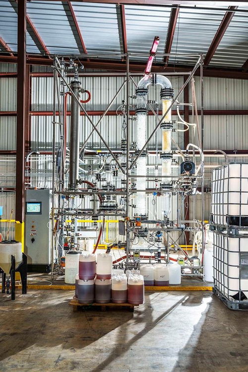 從腫瘤到工廠 酶的革命性應用與負碳制造新紀元